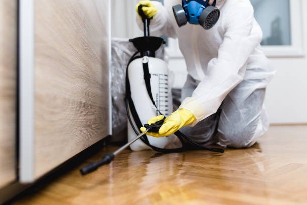 Best Wasp Removal Services  in St Croix Falls, WI
