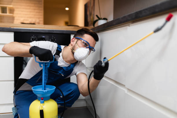 Best Emergency Pest Control  in St Croix Falls, WI