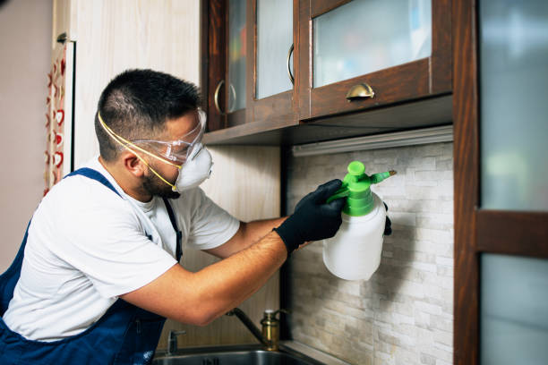 Best Residential Pest Control  in St Croix Falls, WI
