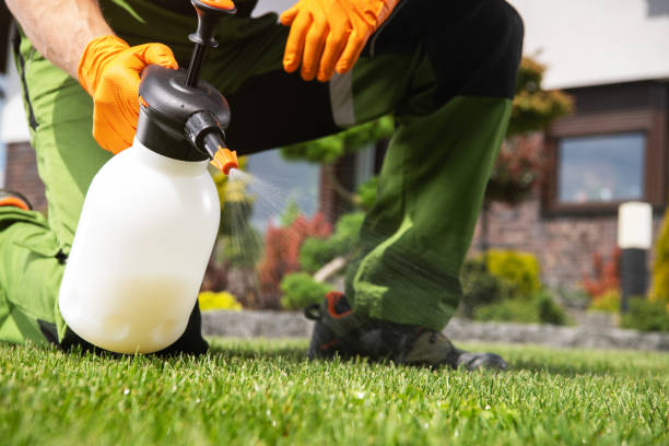 Best Wildlife Control Services  in St Croix Falls, WI