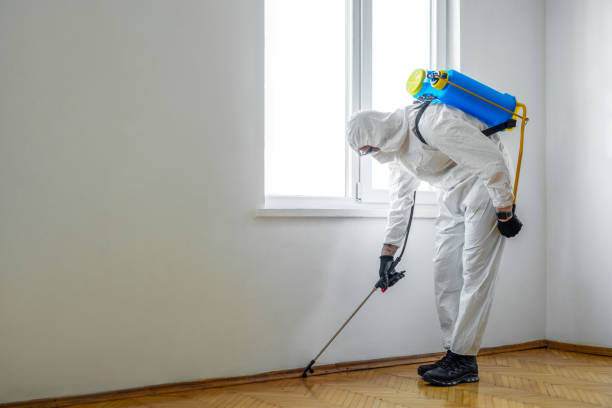 Best Best Pest Control Companies  in St Croix Falls, WI