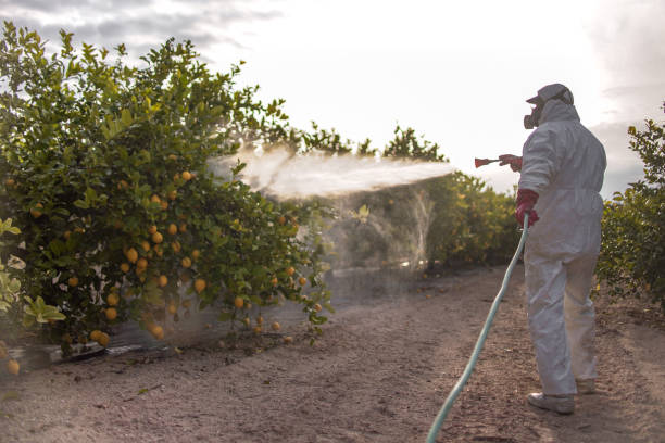 Best Best Pest Control Companies  in St Croix Falls, WI
