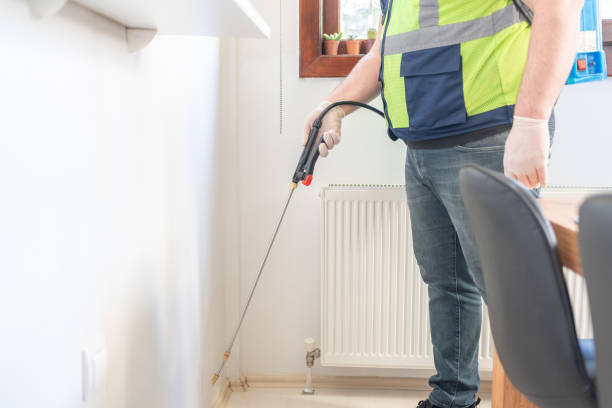 Best Flea Control Services  in St Croix Falls, WI