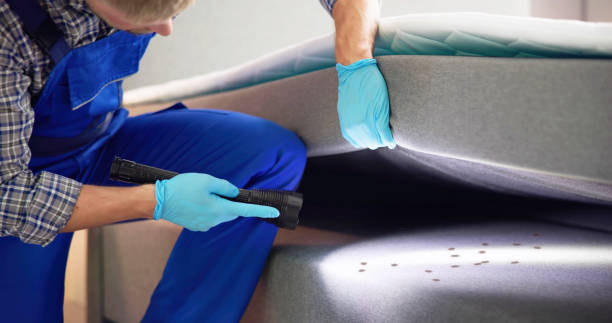 Best Exterminator Services  in St Croix Falls, WI