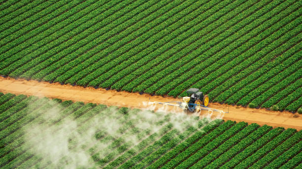 Best Pest Removal Services  in St Croix Falls, WI