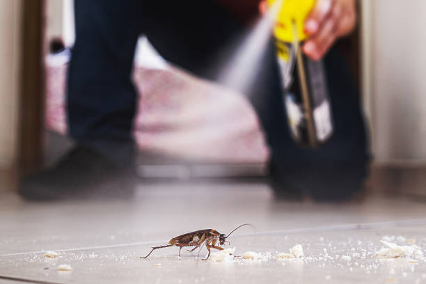 St Croix Falls, WI Pest Control Company