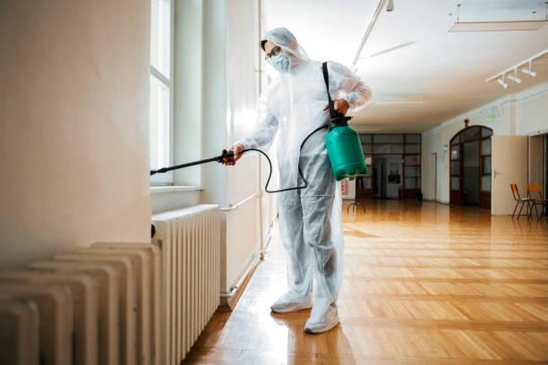 Best Cockroach Control Services  in St Croix Falls, WI