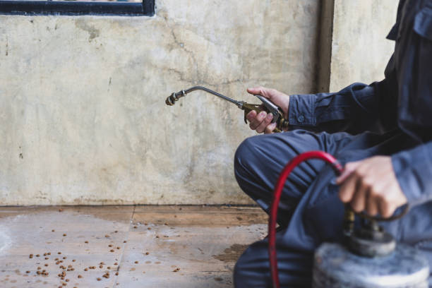 Best Local Pest Control Services  in St Croix Falls, WI