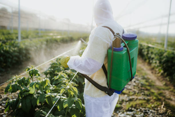 Best Pest Inspection Near Me  in St Croix Falls, WI